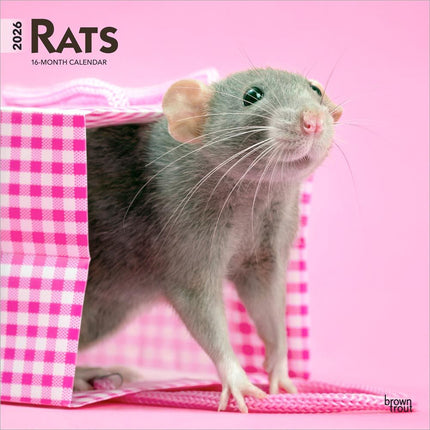 Browntrout Ratten Kalender 2026