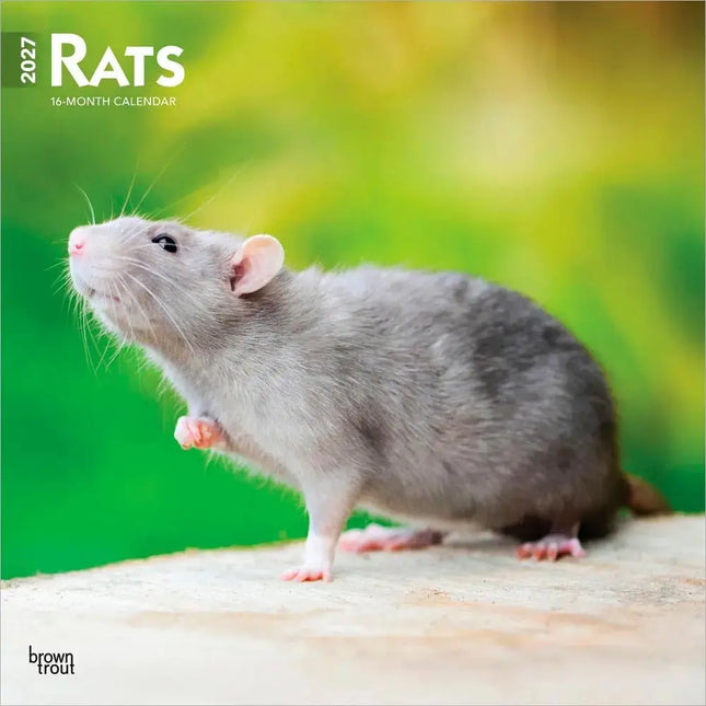 Browntrout Ratten Kalender 2027