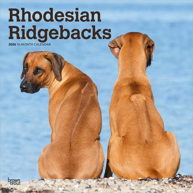 Browntrout Rhodesian Ridgeback Kalender 2026