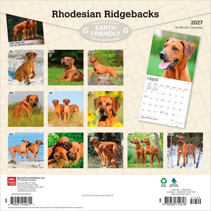 Browntrout Rhodesian Ridgeback Kalender 2027