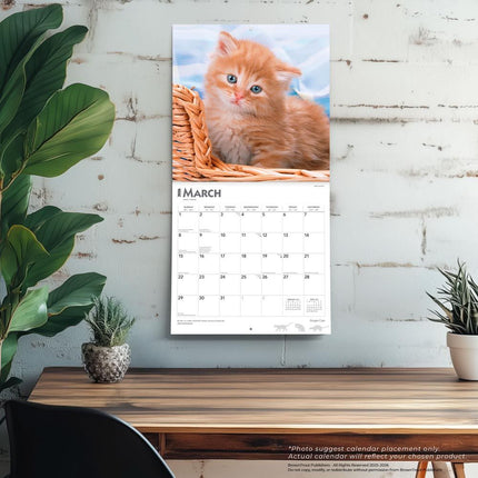 Browntrout Rode Katten Kalender 2026