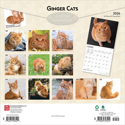 Browntrout Rode Katten Kalender 2026