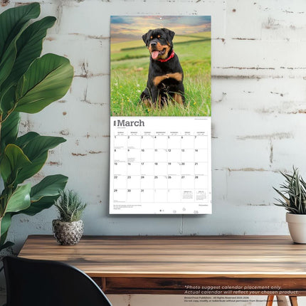 Browntrout Rottweiler Kalender 2027