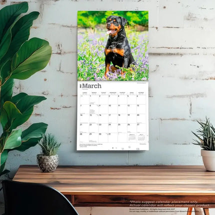 Browntrout Rottweiler Kalender 2027