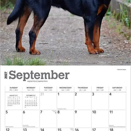 Browntrout Rottweiler Kalender 2027