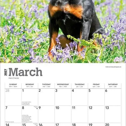 Browntrout Rottweiler Kalender 2027