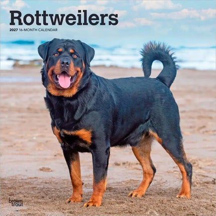 Browntrout Rottweiler Kalender 2027