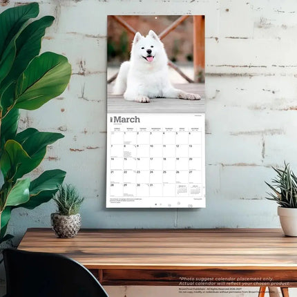Browntrout Samojeed Kalender 2027