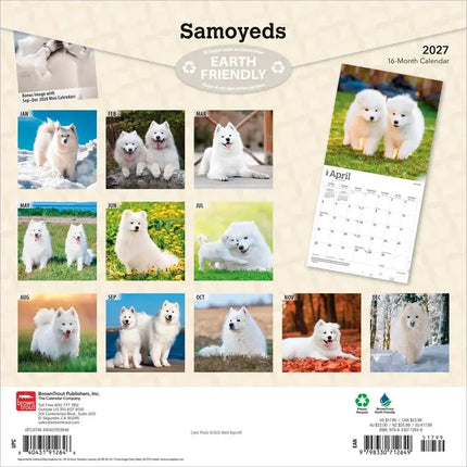 Browntrout Samojeed Kalender 2027