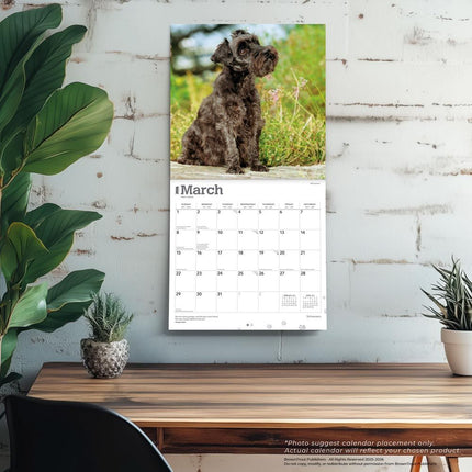 Browntrout Schnauzer Kalender 2026