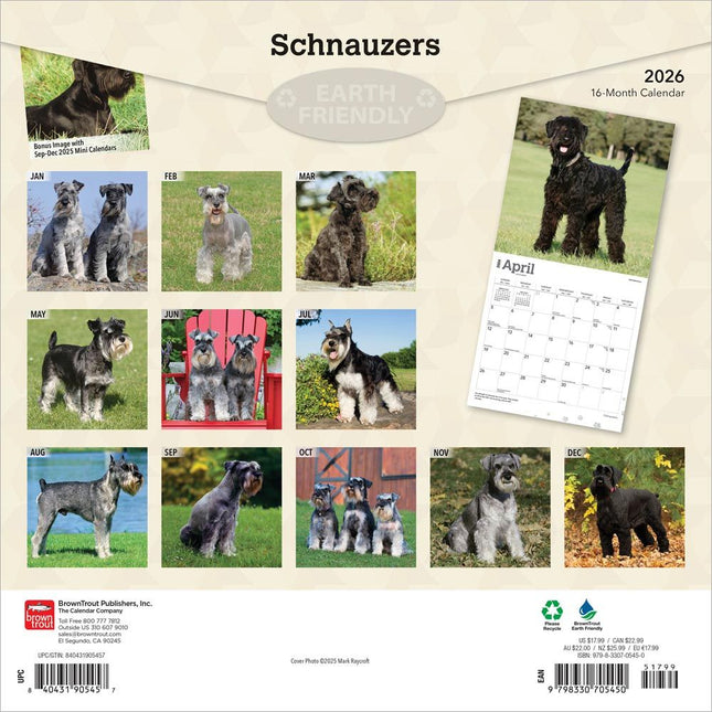 Browntrout Schnauzer Kalender 2026