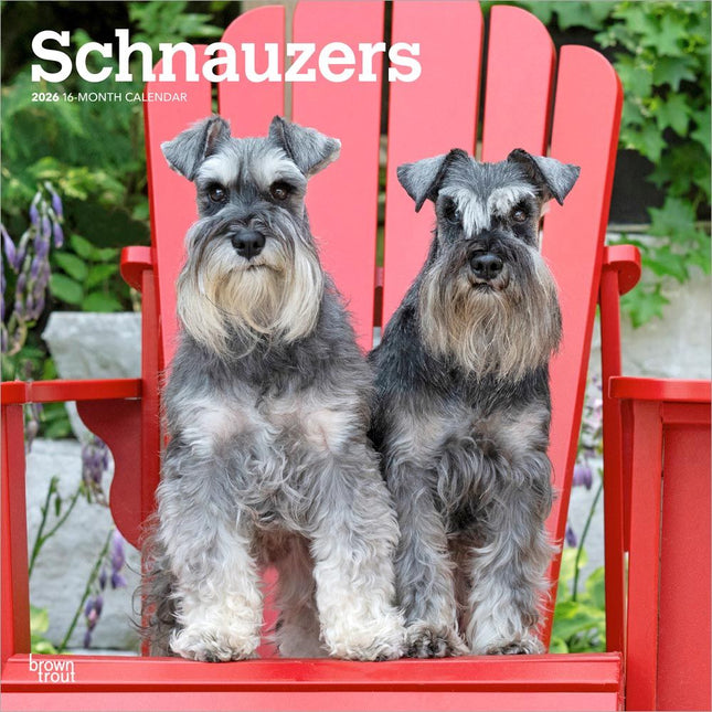 Browntrout Schnauzer Kalender 2026