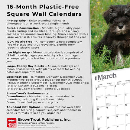 Browntrout Schnauzer Puppies Kalender 2026