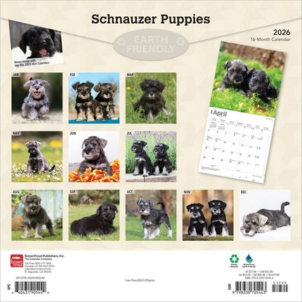 Browntrout Schnauzer Puppies Kalender 2026