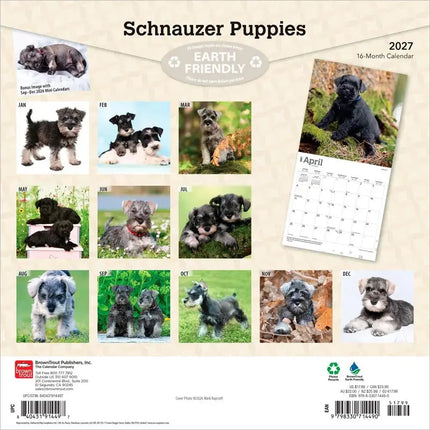 Browntrout Schnauzer Puppies Kalender 2027
