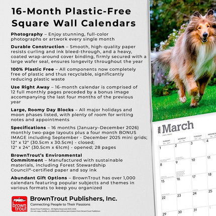 Browntrout Schotse Herder / Collie Kalender 2026