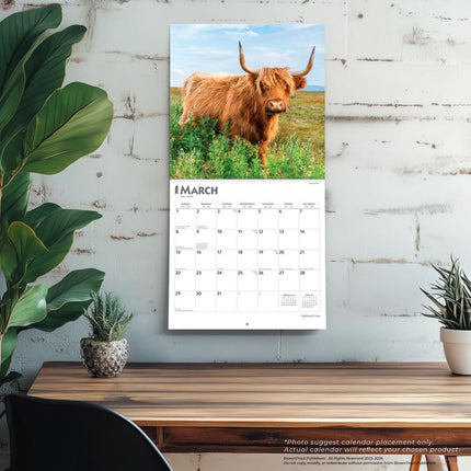 Browntrout Schotse Hooglander Kalender 2026