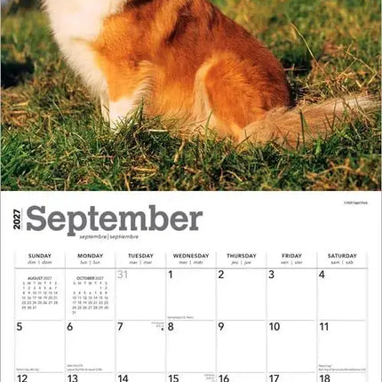 Browntrout Sheltie - Shetland Sheepdog Kalender 2027