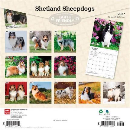 Browntrout Sheltie - Shetland Sheepdog Kalender 2027