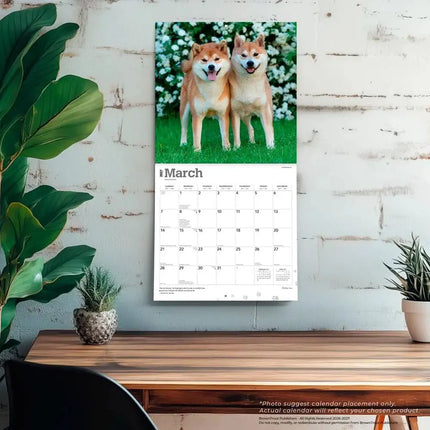 Browntrout Shiba Inu Kalender 2027