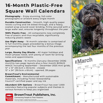 Browntrout Shih Tzu Kalender 2027