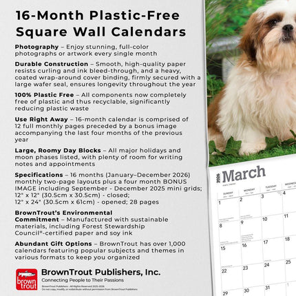 Browntrout Shih Tzu Puppies Kalender 2027