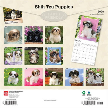 Browntrout Shih Tzu Puppies Kalender 2027