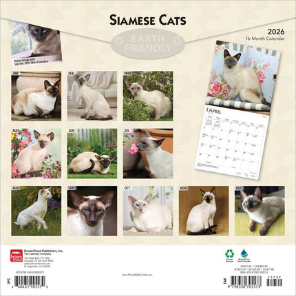 Browntrout Siamees Kalender 2026