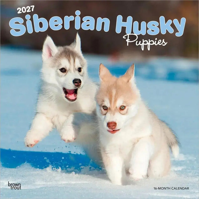 Browntrout Siberian Husky Puppies Kalender 2027