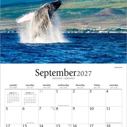 Browntrout Simplicity Kalender 2027