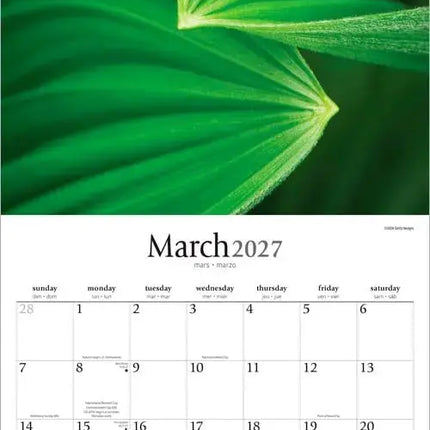 Browntrout Simplicity Kalender 2027