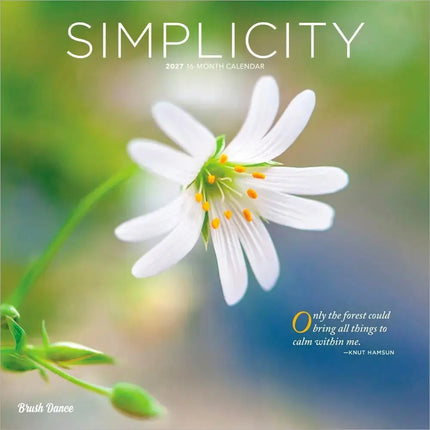 Browntrout Simplicity Kalender 2027