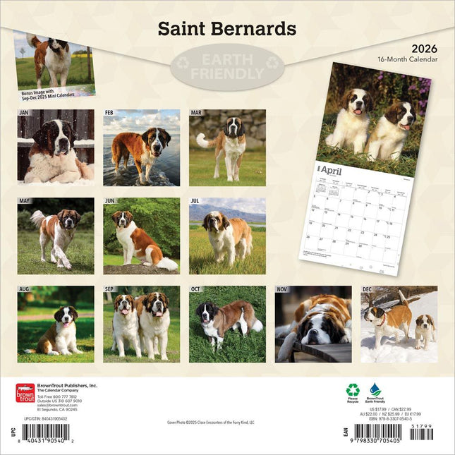 Browntrout Sint Bernard Kalender 2026