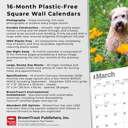 Browntrout Softcoated Wheaten Terrier Kalender 2026