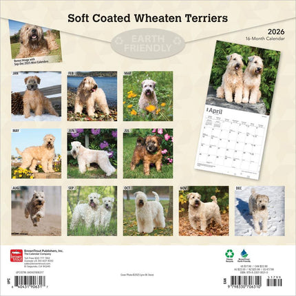 Browntrout Softcoated Wheaten Terrier Kalender 2026
