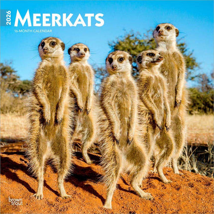 Browntrout Stokstaartjes Kalender 2026