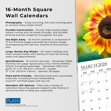 Browntrout Sunflowers Kalender 2026