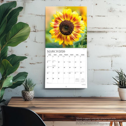 Browntrout Sunflowers Kalender 2026