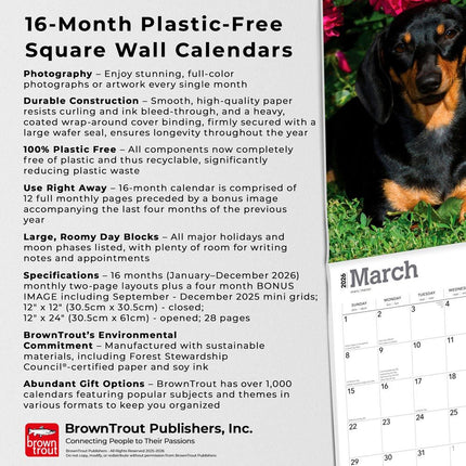 Browntrout Teckel Kalender 2026