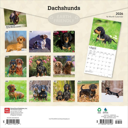 Browntrout Teckel Kalender 2026
