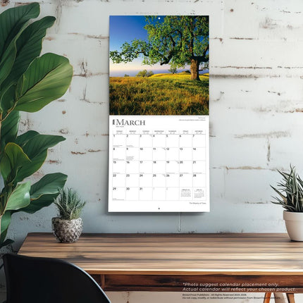 Browntrout The Majesty of Trees Kalender 2026