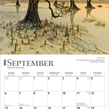 Browntrout The Majesty of Trees Kalender 2026