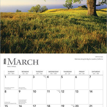 Browntrout The Majesty of Trees Kalender 2026
