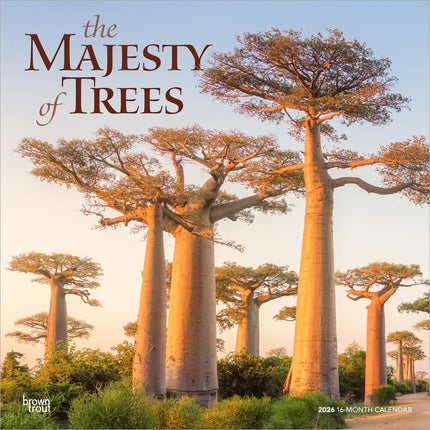 Browntrout The Majesty of Trees Kalender 2026