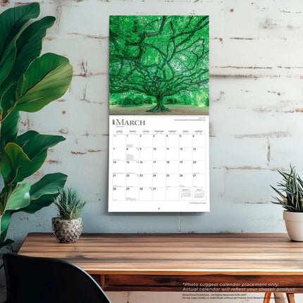 Browntrout The Majesty of Trees Kalender 2027