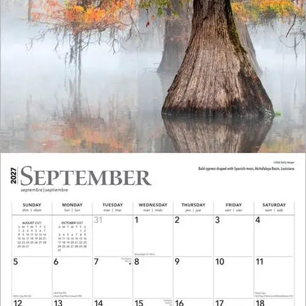 Browntrout The Majesty of Trees Kalender 2027