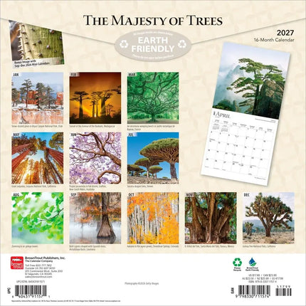 Browntrout The Majesty of Trees Kalender 2027