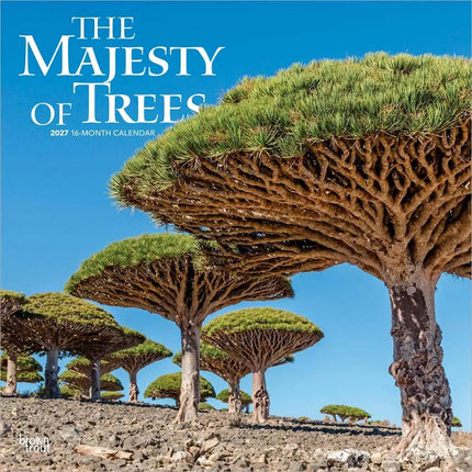 Browntrout The Majesty of Trees Kalender 2027