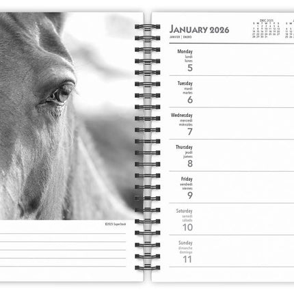 Browntrout The Noble Horse Agenda 2026