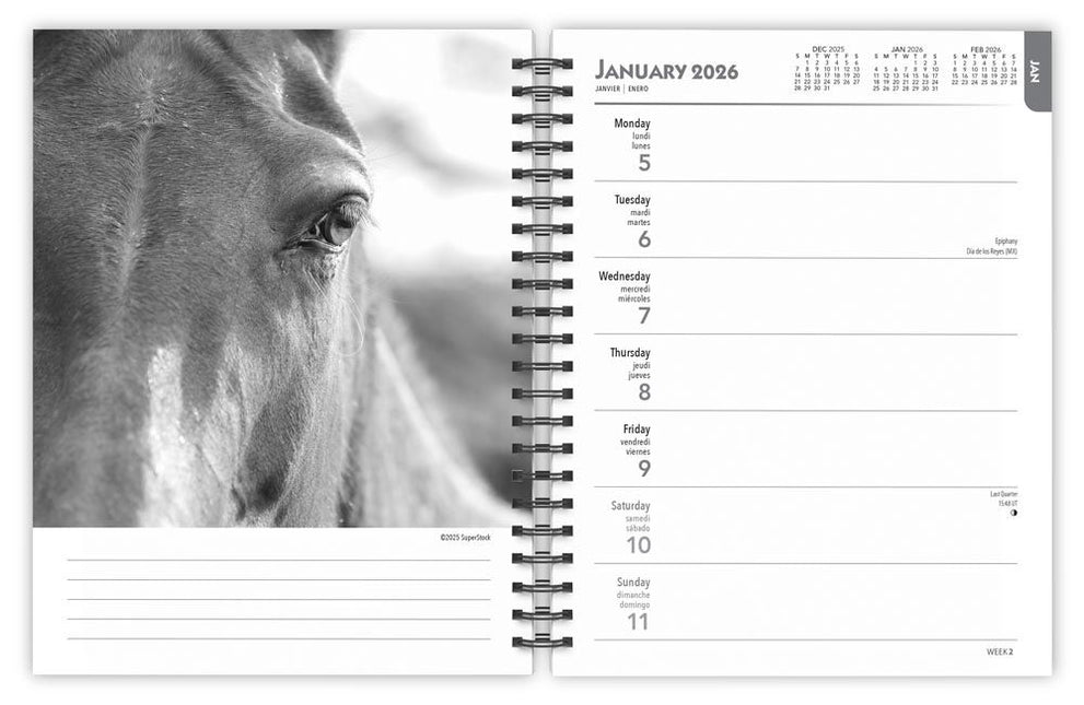 Browntrout The Noble Horse Agenda 2026